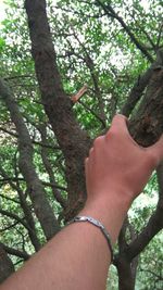 Low section of woman feet on tree