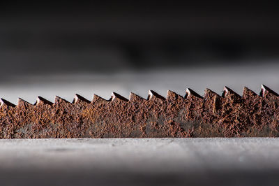 Close-up of metallic roof