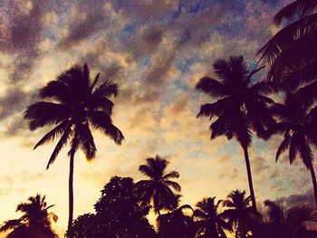 Low angle view of palm trees against sky