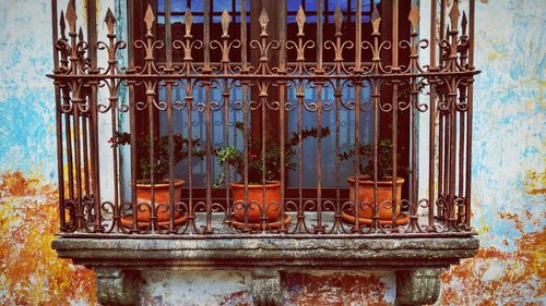 Close-up of rusty window