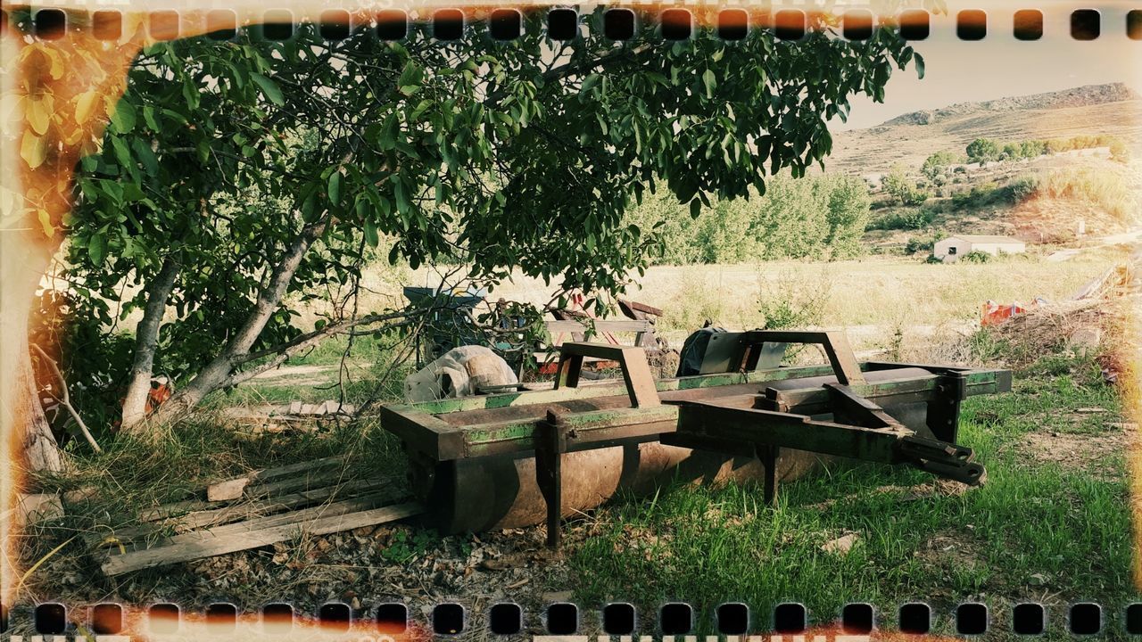 EMPTY BENCH ON FIELD