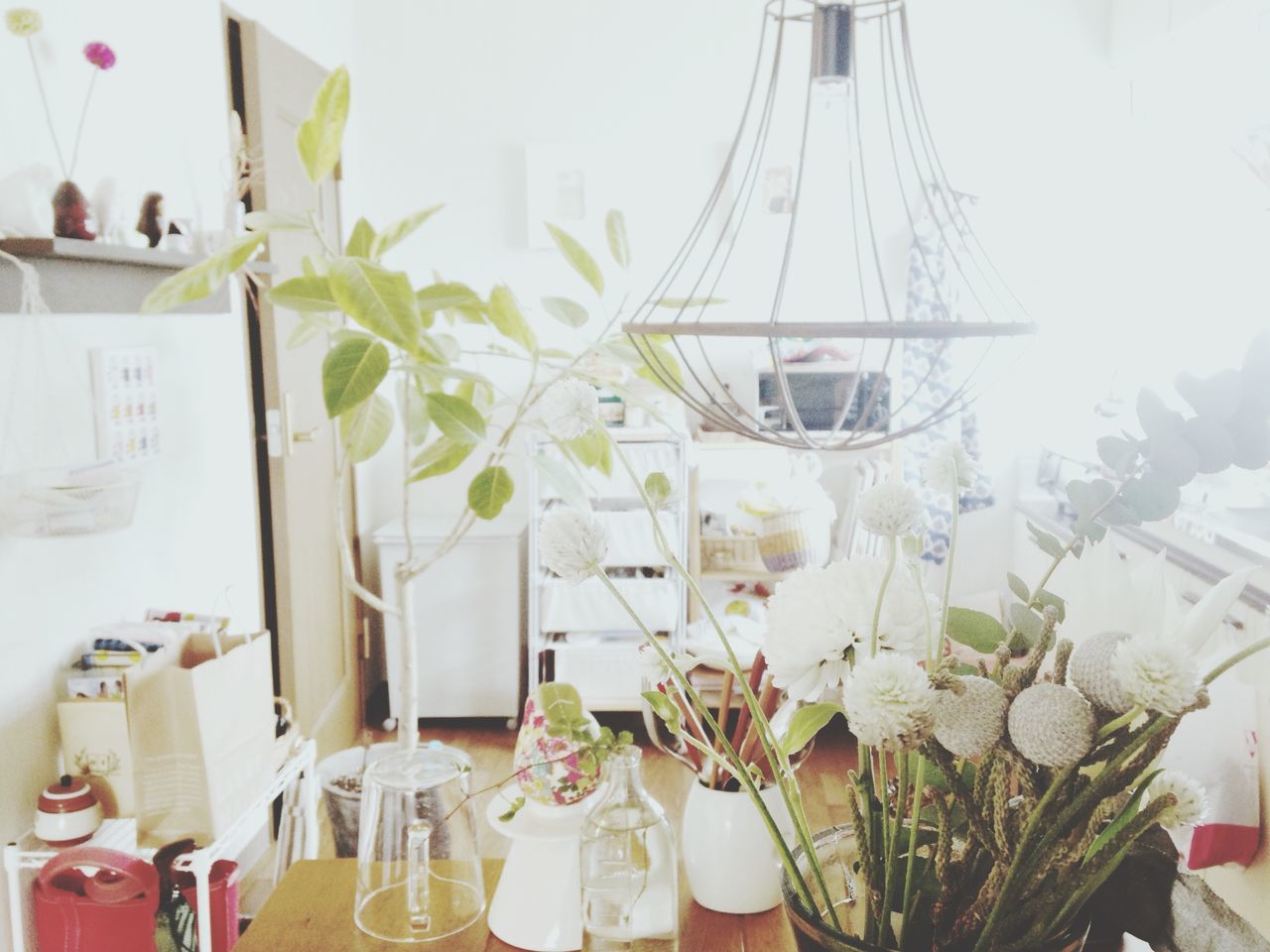 flower, indoors, plant, potted plant, freshness, table, vase, fragility, home interior, chair, sunlight, close-up, growth, day, no people, built structure, architecture, hanging, glass - material, house