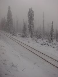 Snow covered railroad tracks by trees during winter
