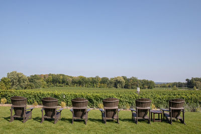 Winery view . chairs at winery.