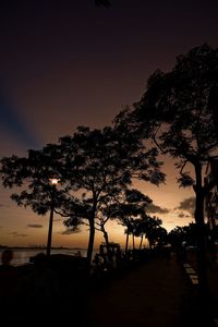 Silhouette trees on field against sky at night