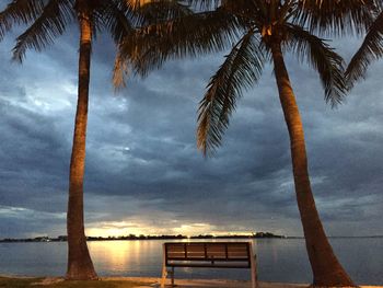 Palm trees on beach against sky during sunset