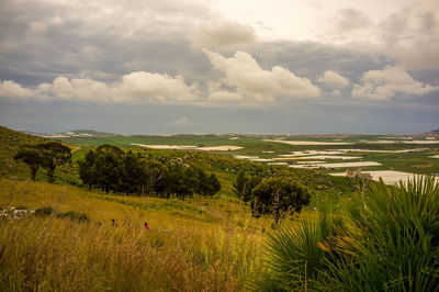 Scenic view of field against sky