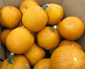 Full frame shot of pumpkins at market