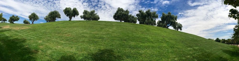 Low angle view of trees against sky