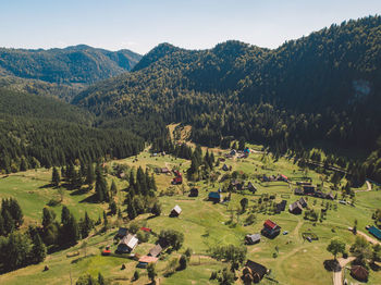 High angle view of trees on field against sky