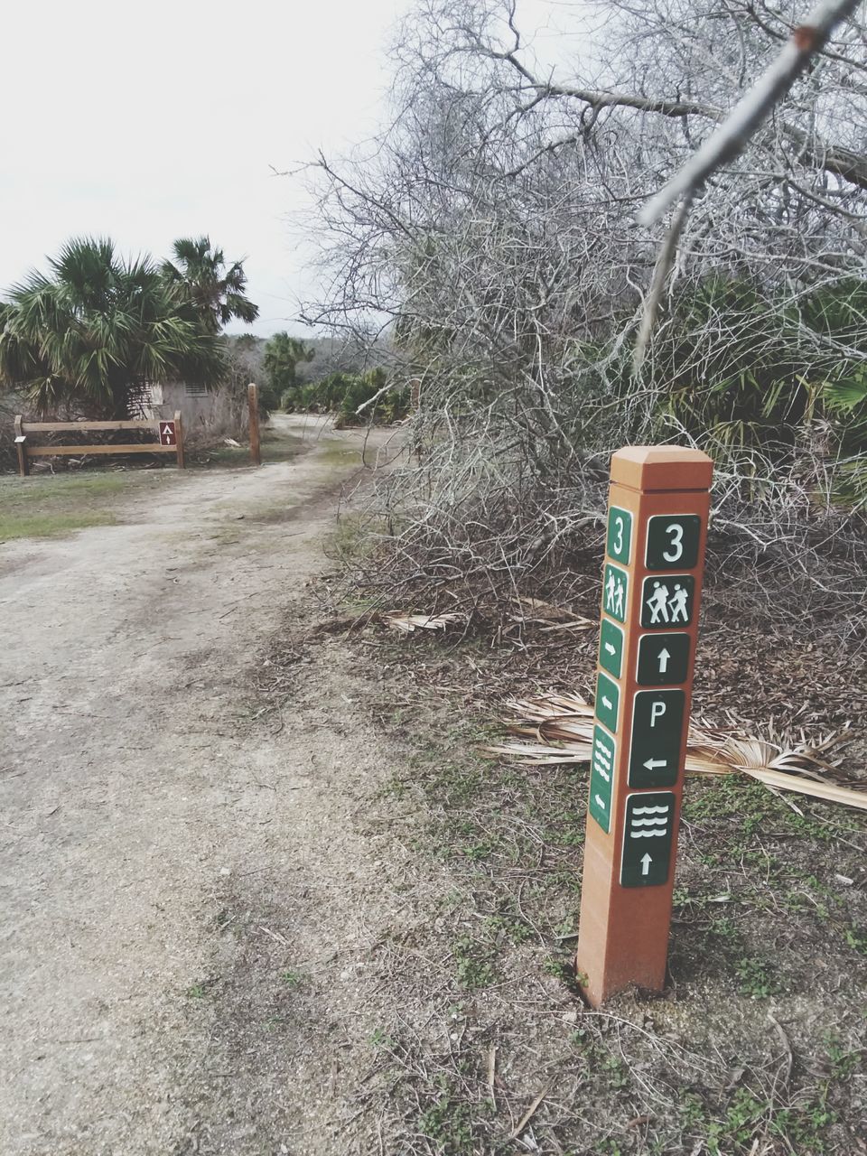 communication, tree, day, guidance, text, outdoors, no people, bare tree, road sign, grass, nature, sky