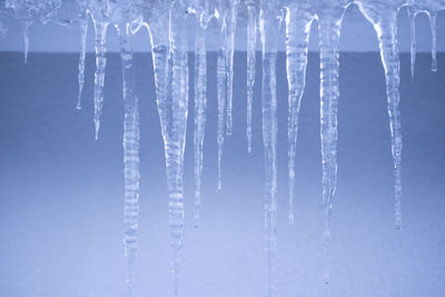 Close-up of icicles during winter