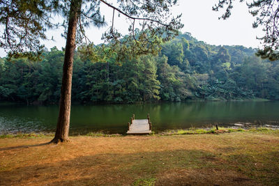 Scenic view of lake against trees in forest