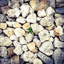Full frame shot of stones