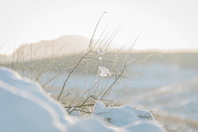 Close-up of snow covered landscape against clear sky