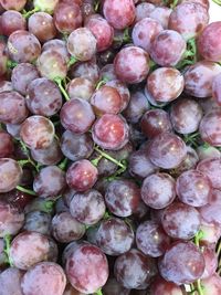 Full frame shot of fruits for sale at market stall