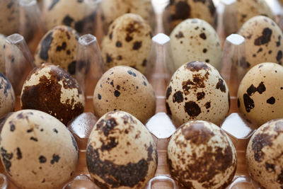 Quail eggs in plastic tray