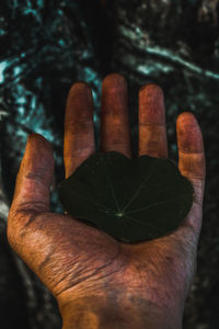 Close-up of man hand