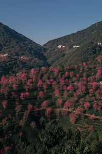 Scenic view of mountains against clear sky