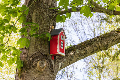 Low angle view of tree