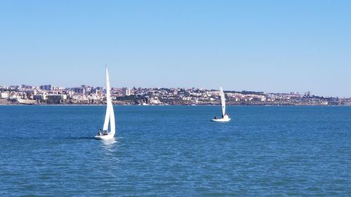 Sailboats in sea against clear blue sky