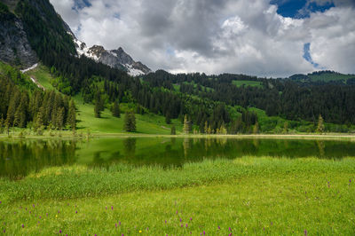 Scenic view of lake by trees against sky