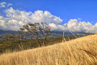 Scenic view of landscape against cloudy sky