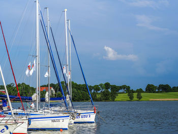 Sailboats sailing in sea against sky