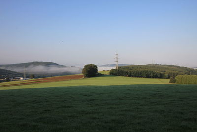 Scenic view of field against clear sky