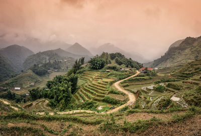 Scenic view of rice paddy by mountains against sky