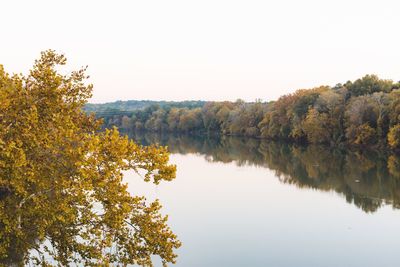 Scenic view of lake by trees against clear sky