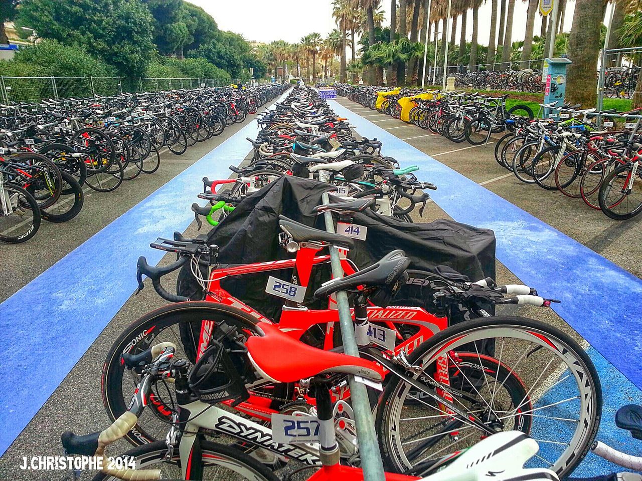 transportation, mode of transport, land vehicle, bicycle, parked, parking, car, high angle view, stationary, the way forward, travel, diminishing perspective, abundance, tree, road, street, day, in a row, incidental people, parking lot