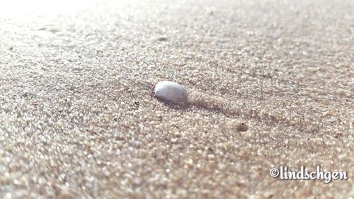 sand
