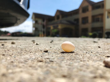 Close-up of lost egg against building on sunny day