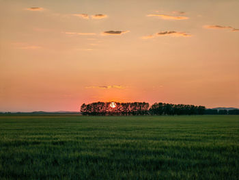 Scenic view of field against sky during sunset