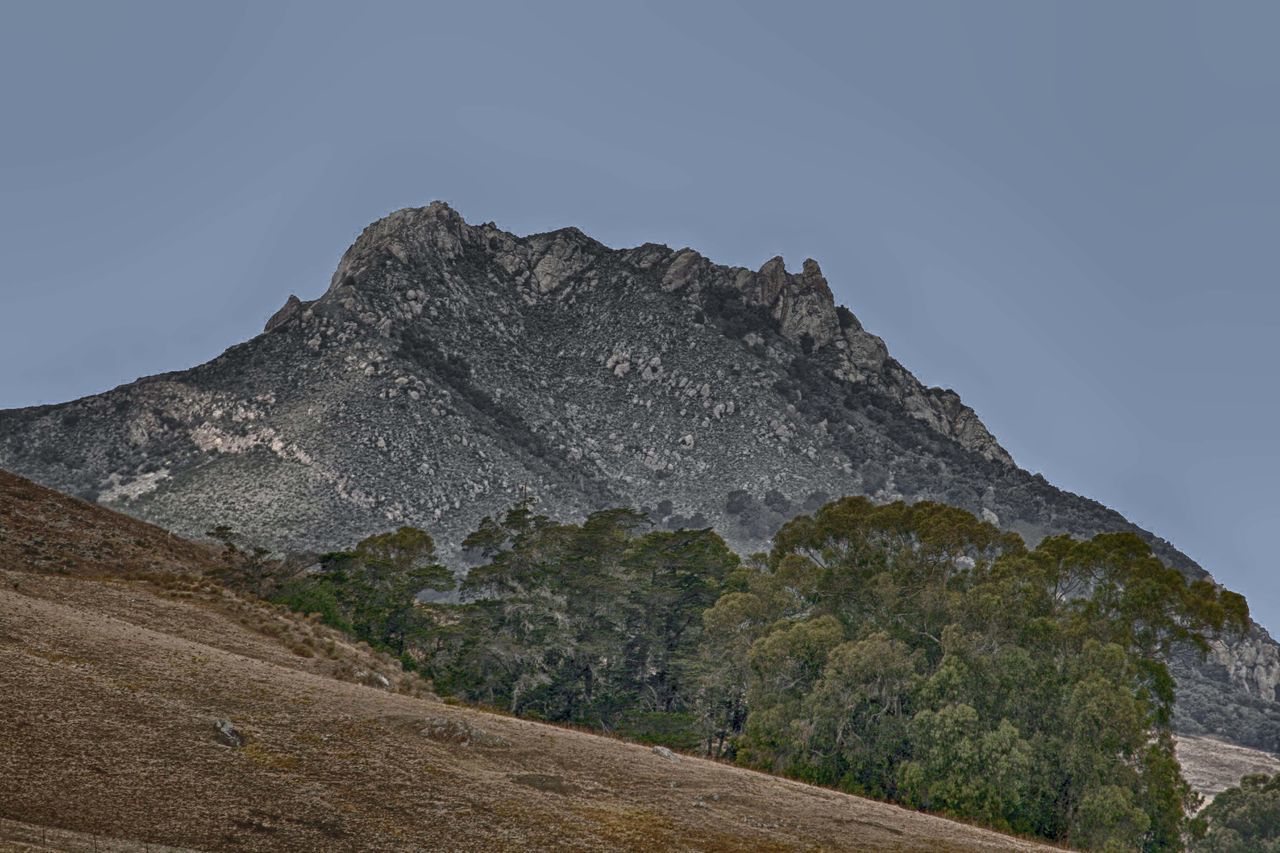 Los Osos Valley