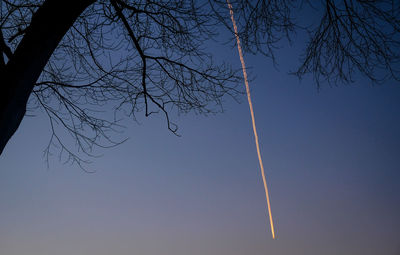 Low angle view of silhouette tree against sky