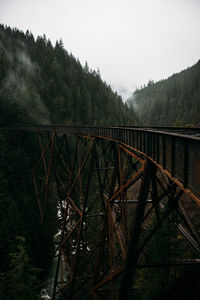 Bridge in forest against sky