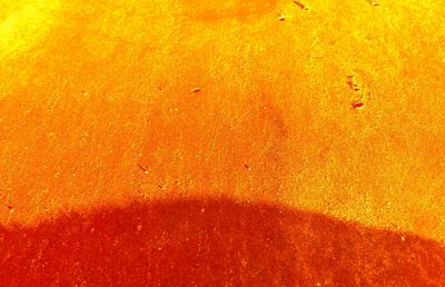 Close-up of yellow orange