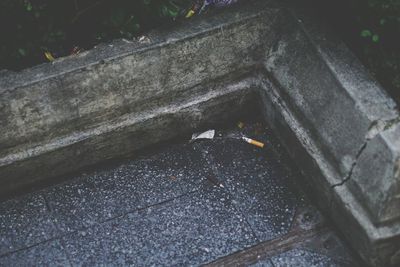 High angle view of insect on retaining wall