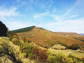 Scenic view of landscape against sky