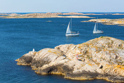 Sailboats sailing in sea against sky