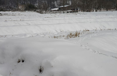 Snow covered landscape