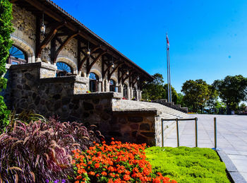 Flowering plants by bridge against blue sky