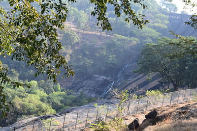 Scenic view of landscape and mountains