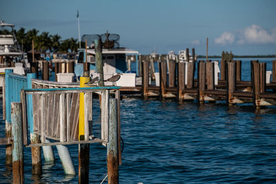 Wooden post on pier by sea against sky