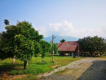 Trees and houses on field against sky