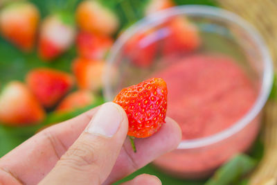 Close-up of hand holding strawberry