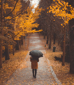 Rear view of woman with umbrella walking in park