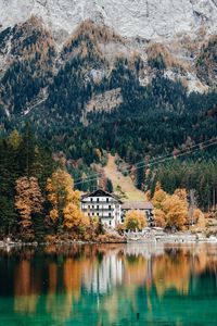 Reflection of trees and buildings on lake